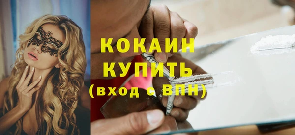 индика Аркадак