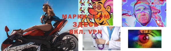 индика Аркадак