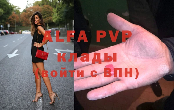 индика Аркадак