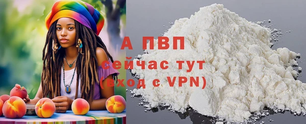 индика Аркадак