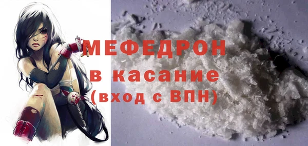 индика Аркадак