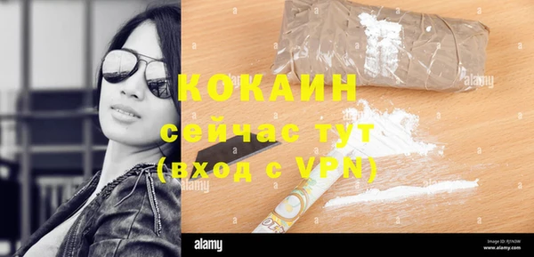 индика Аркадак