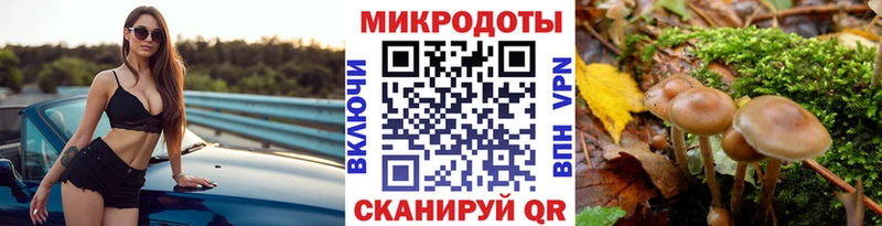 Галлюциногенные грибы GOLDEN TEACHER  Купить закладки  Лукоянов 
